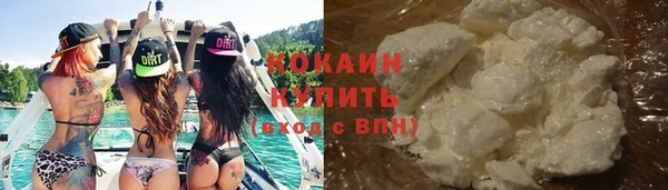 a pvp Новозыбков