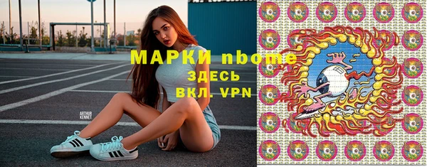 сатива Аркадак