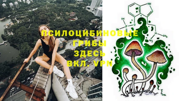 сатива Аркадак
