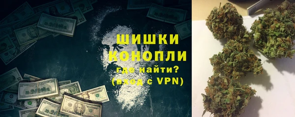 сатива Аркадак