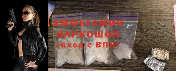 сатива Аркадак