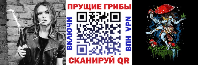 купить   Покров  Псилоцибиновые грибы MAGIC MUSHROOMS 